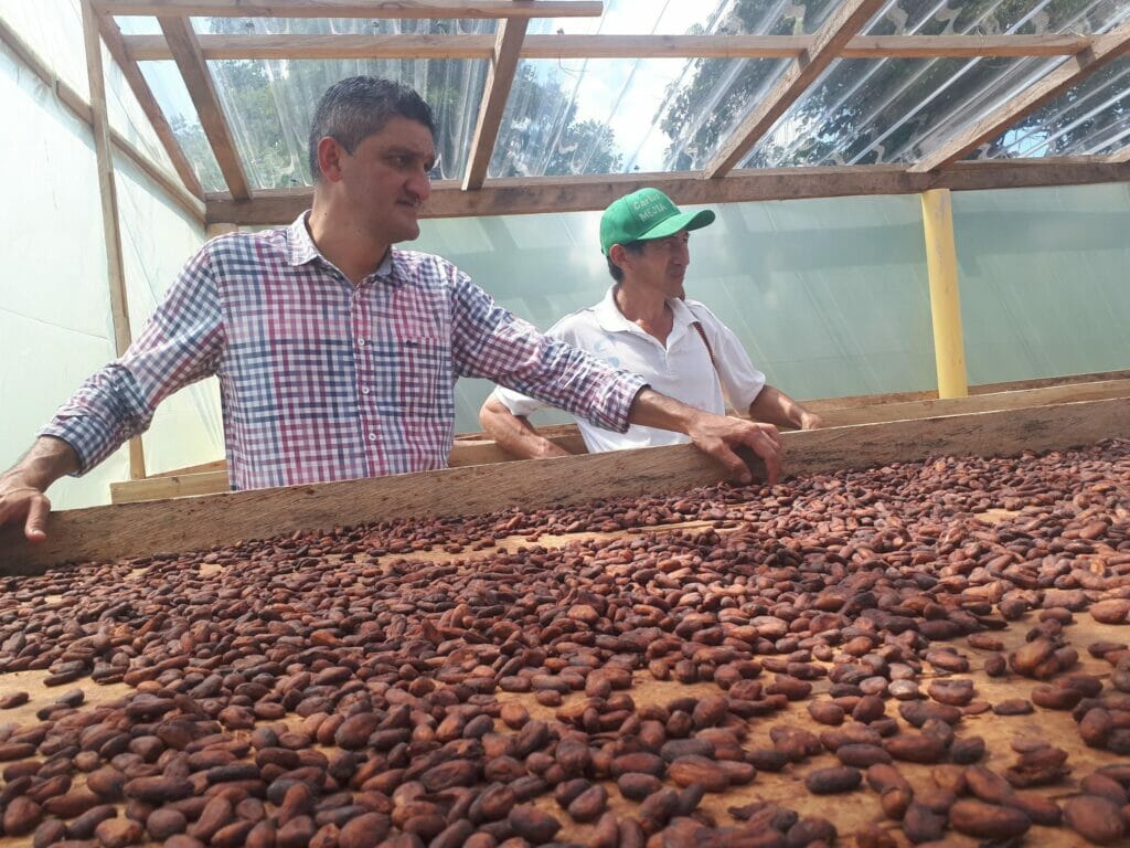 Fèves de Cacao en Colombie